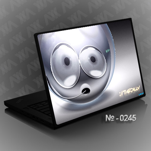 Наклейка на ноутбук StickNout - 0245